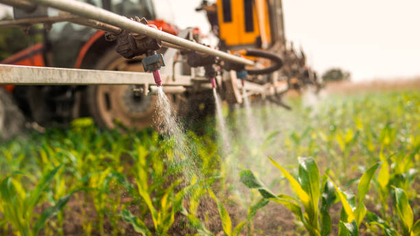 Best Commercial Pest Control Services  in Elgin, MN